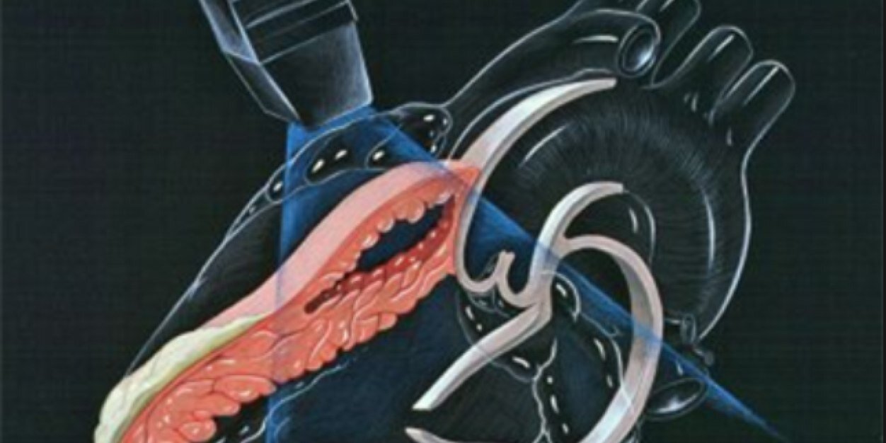 Walid2theED's profile banner image