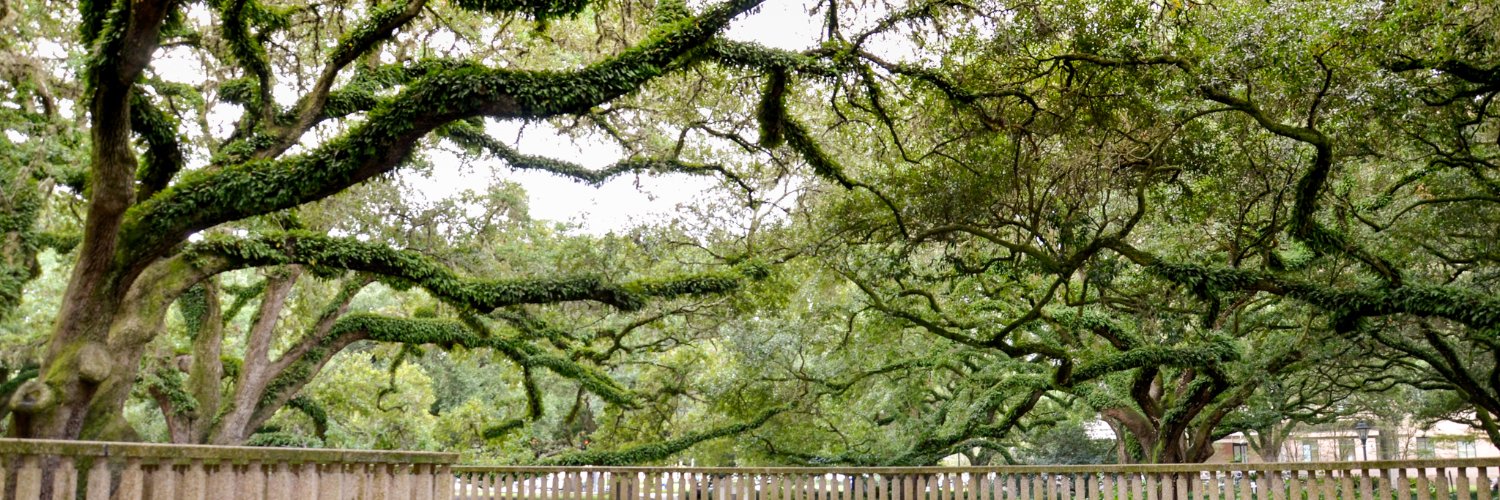 LSUStudentUnion's profile banner image