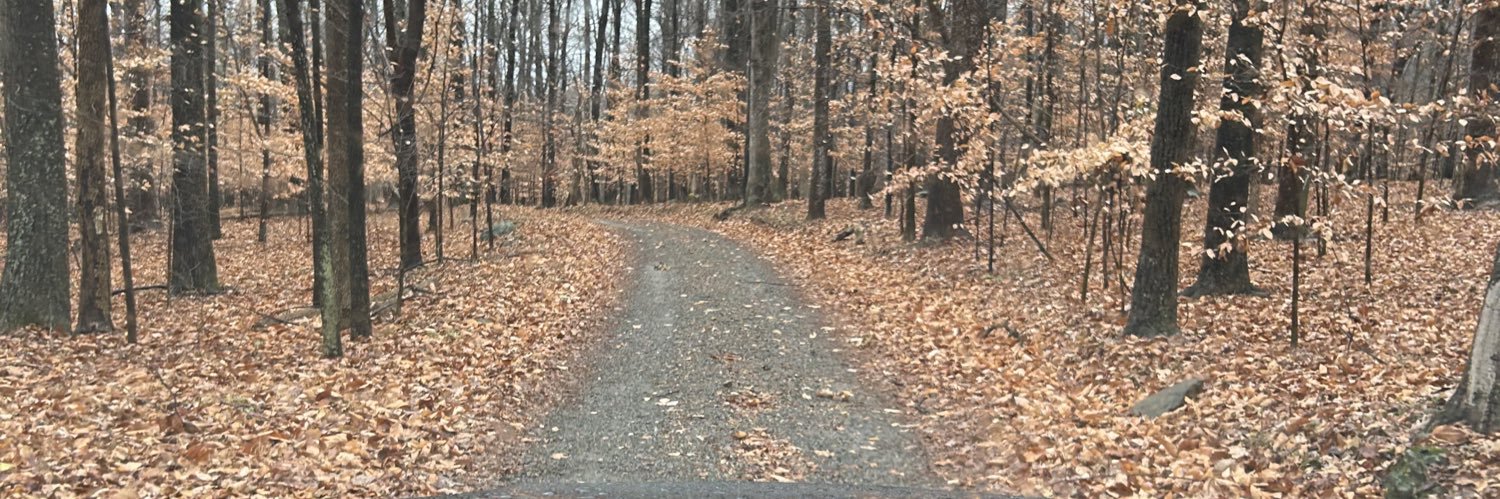 Rejmalbard1234's profile banner image