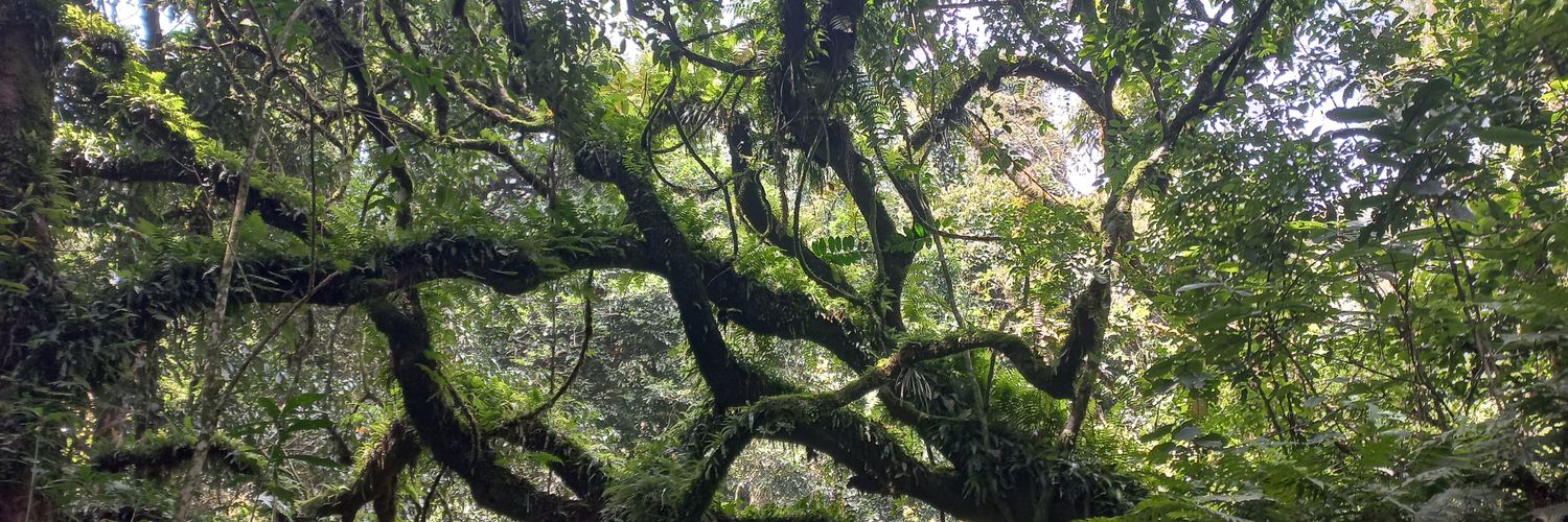 Beth Mūrugi Nderitū banner