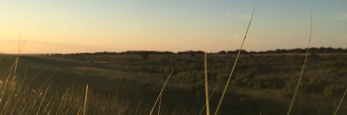 knolx's profile banner image