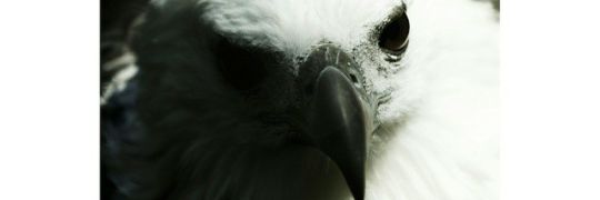lugasimut's profile banner image
