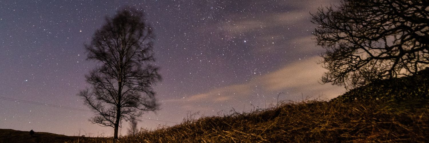 silentjay99's profile banner image