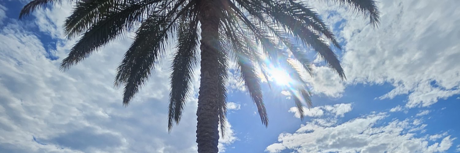 maperales's profile banner image