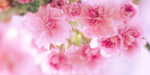 olusha_o's profile banner image