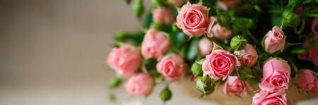 @#/&_ banner