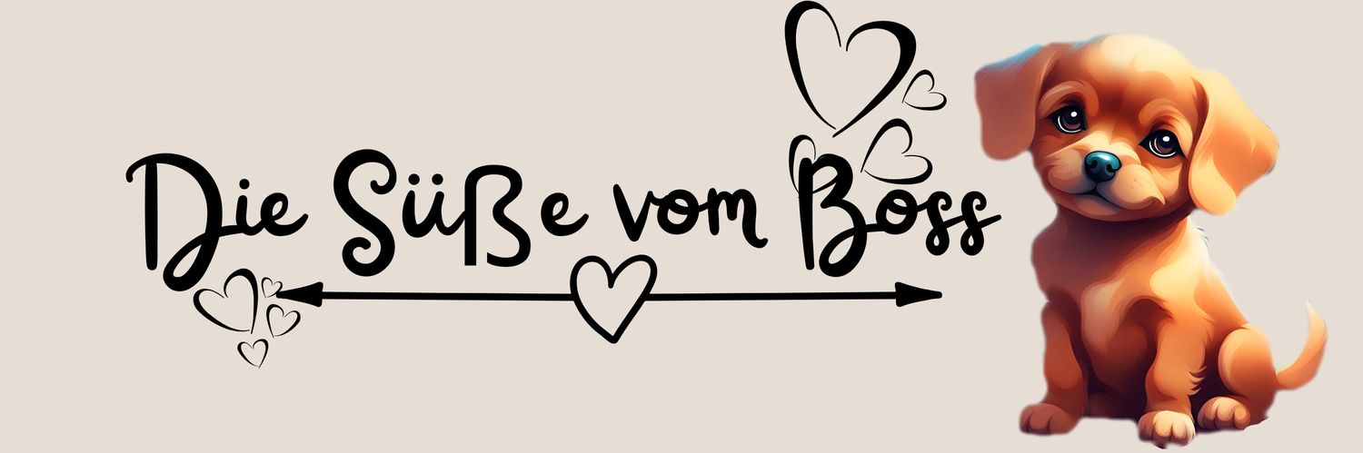 SuesseVomBoss's profile banner image