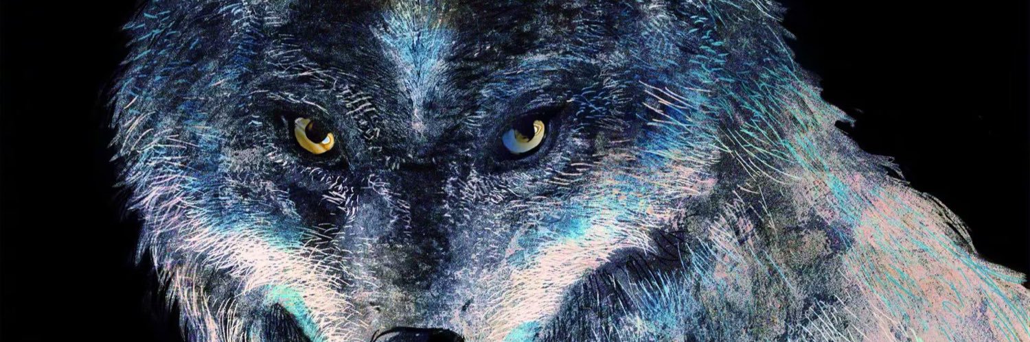 MakeGrayson's profile banner image