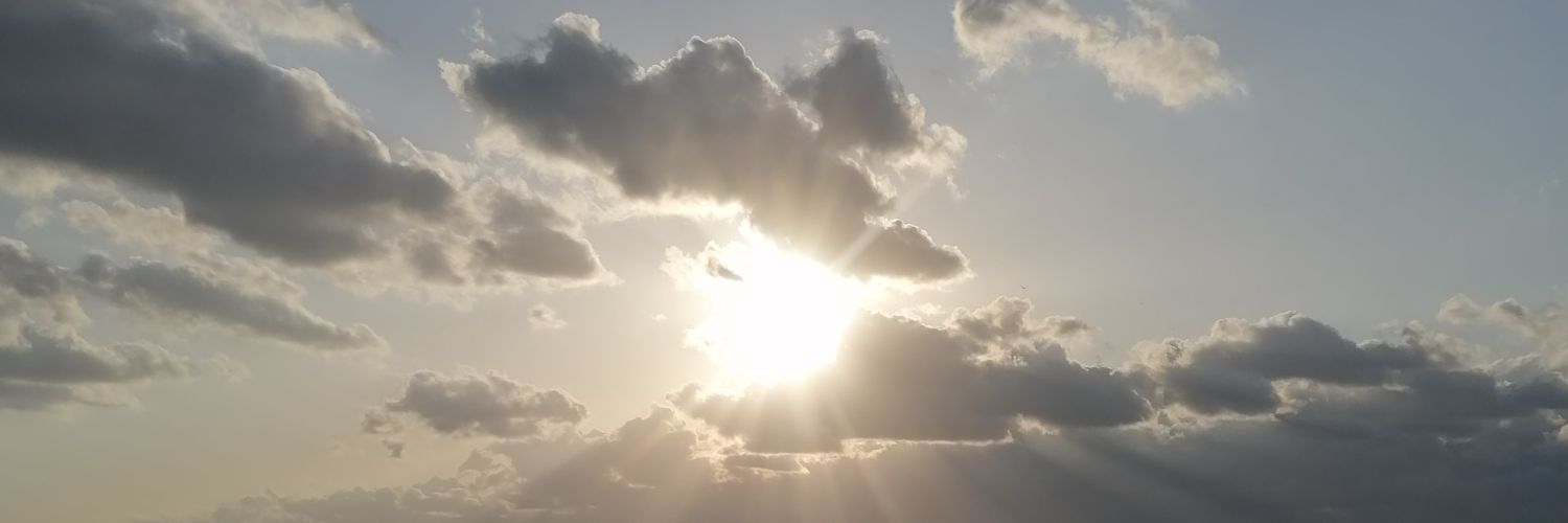 ddilesen's profile banner image