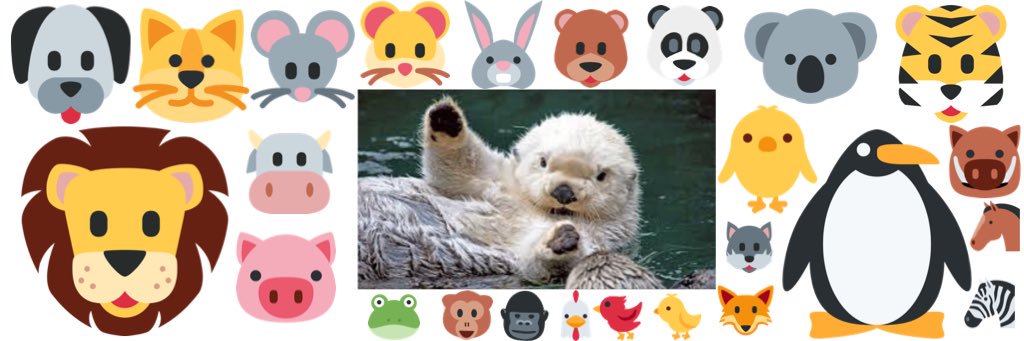 AshleyAnimals11's profile banner image