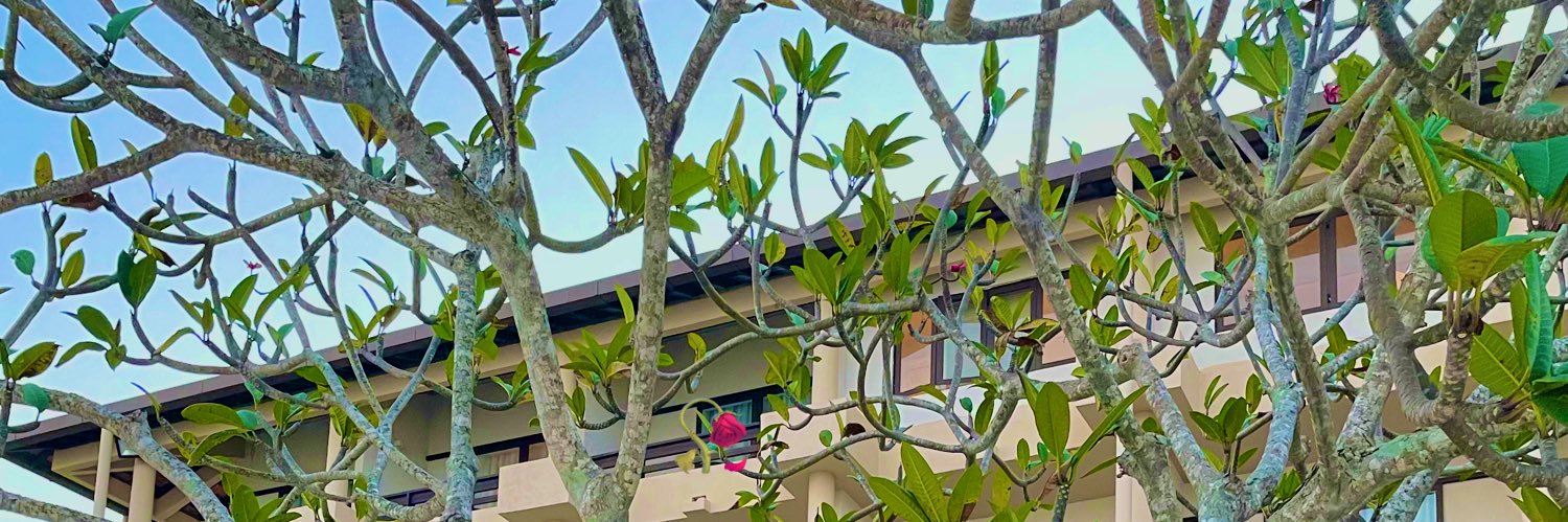 nianahcx's profile banner image