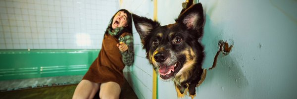 ethannestor Profile Banner