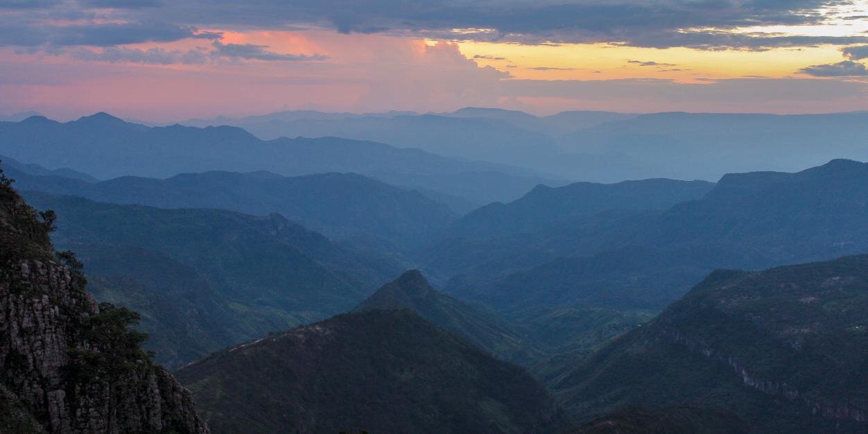 Nabani Verten banner