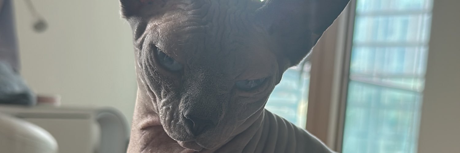 mpmelxx_'s profile banner image