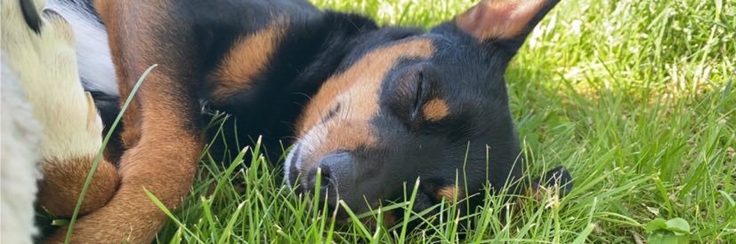 kotap32's profile banner image