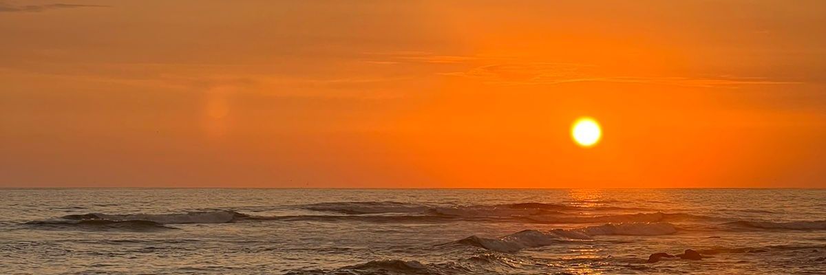 viancang's profile banner image