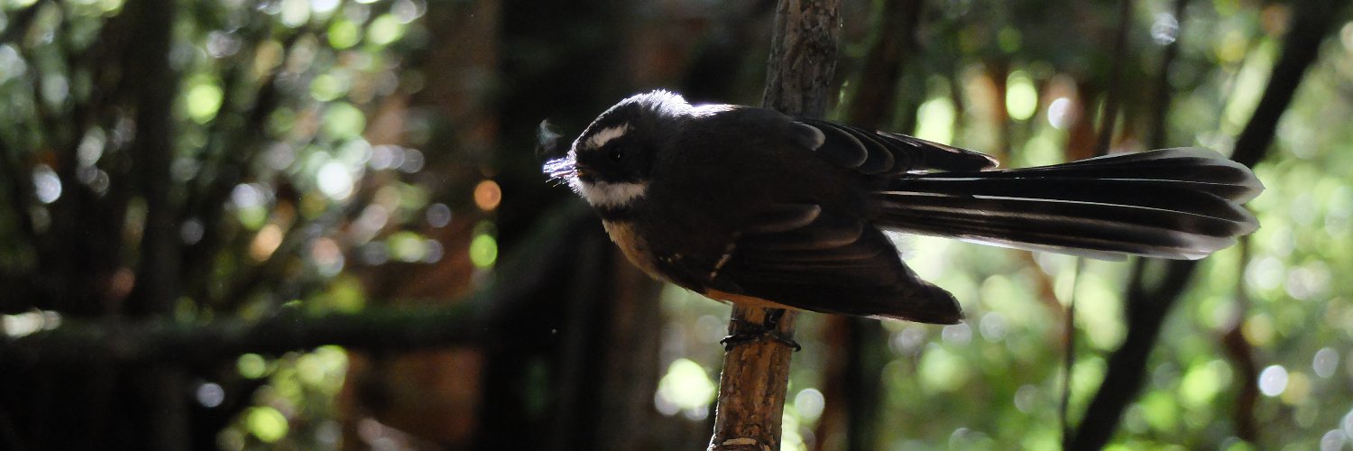 Scott Forrest banner