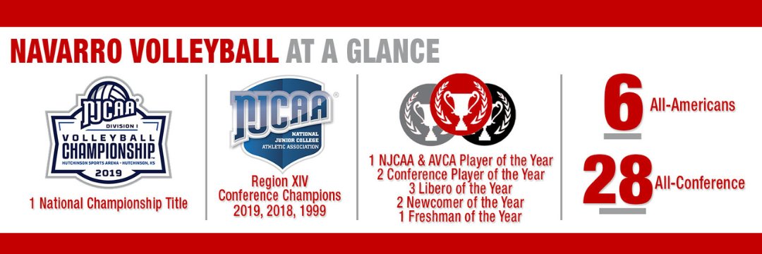 Navarro Volleyball banner