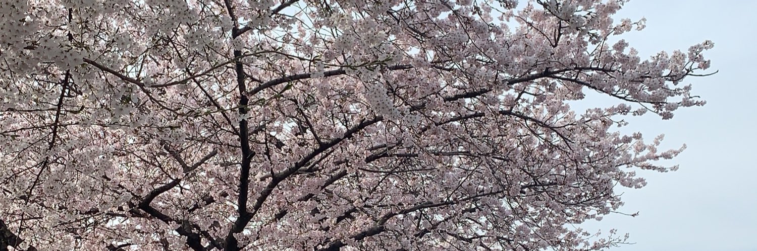 neenwang_'s profile banner image