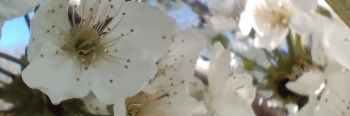 correnderas's profile banner image