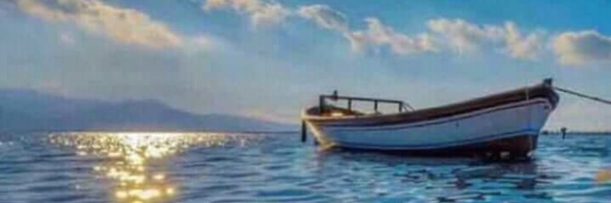MuhodAloweed's profile banner image