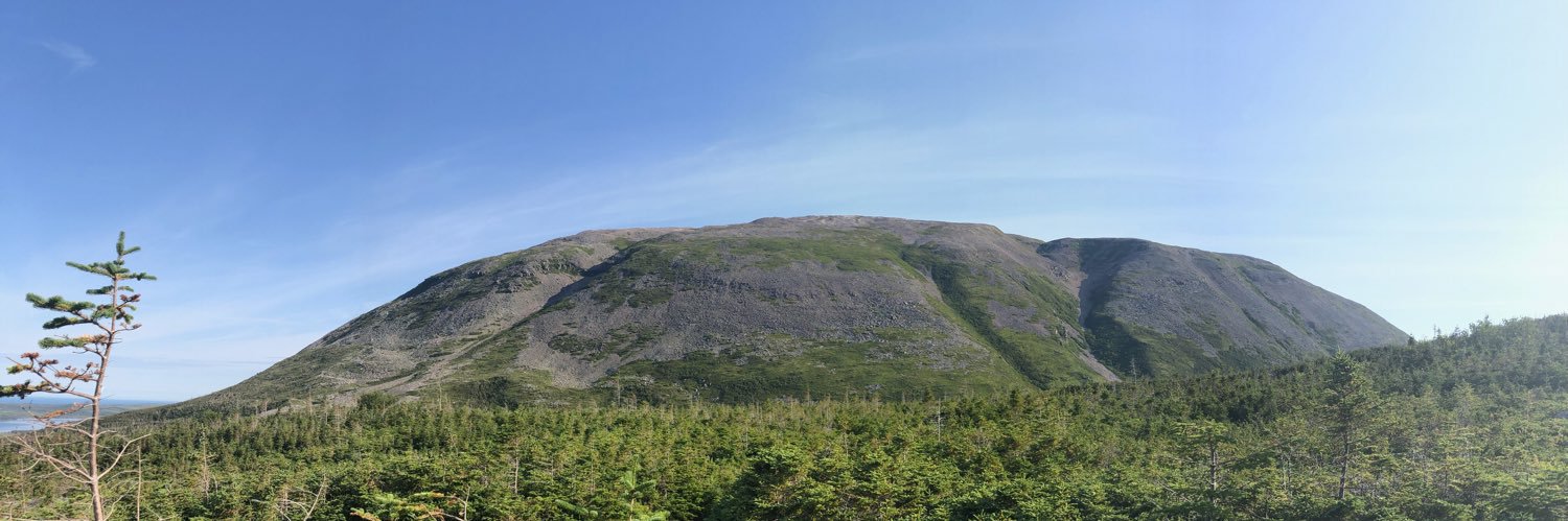 Andrew MacDoanld banner