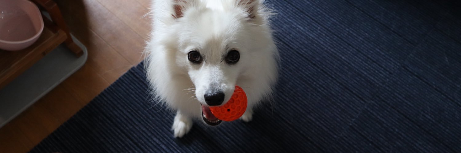 三ツ谷 亮 banner