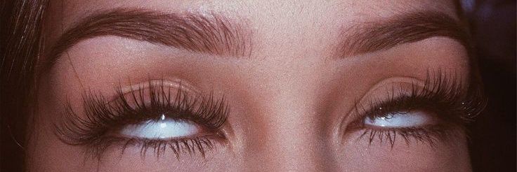 🦋ᴀʀɪᴀɴᴀ banner