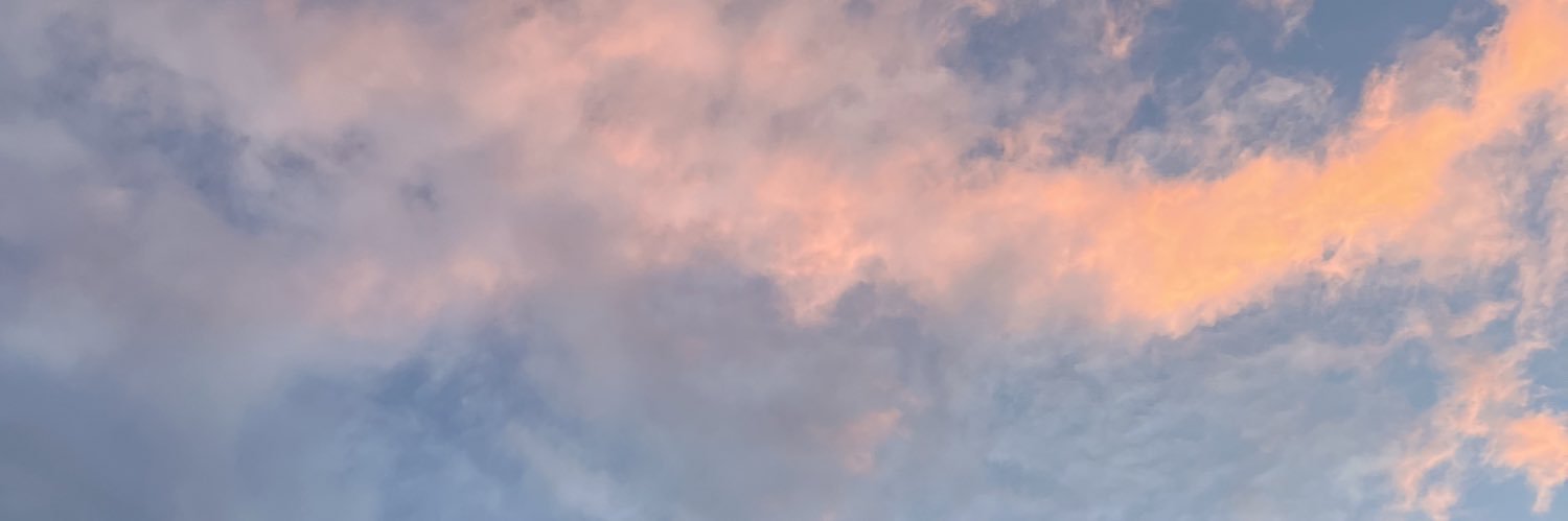 ChakElsie's profile banner image