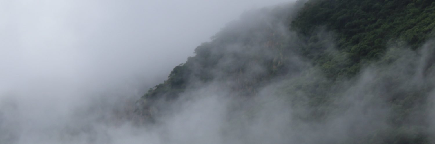 kalinuan's profile banner image