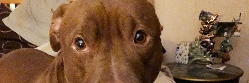 LeoBedio's profile banner image