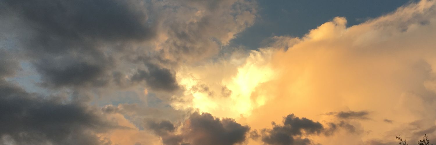 EscapedGypsy's profile banner image