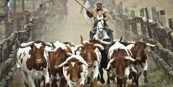 Guille_H95's profile banner image