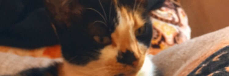leivasdudaa's profile banner image