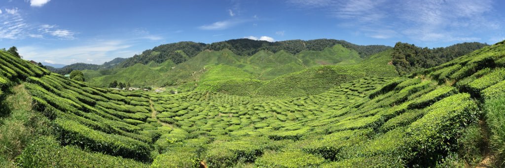 推特判官👋👉 banner