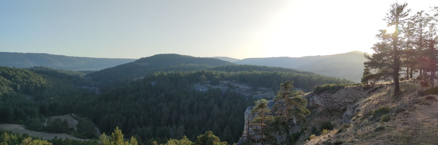 Maria Cavero 🍏💻📚🍏 banner