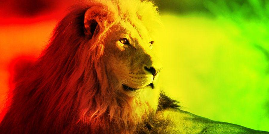 bruhym's profile banner image