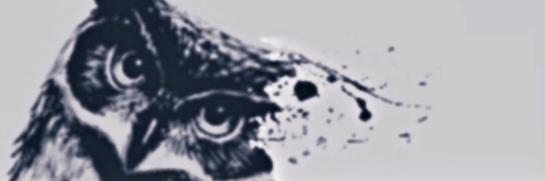 baykusunuuzz's profile banner image