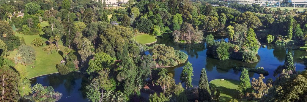 IABGardens's profile banner image