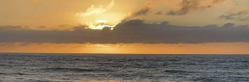 bavari_1's profile banner image