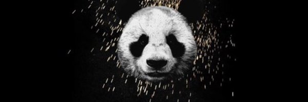 validkixx Profile Banner