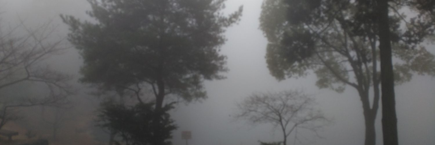 inopon's profile banner image