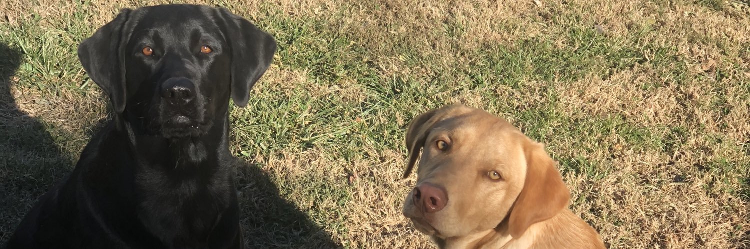 TylerLingg5's profile banner image