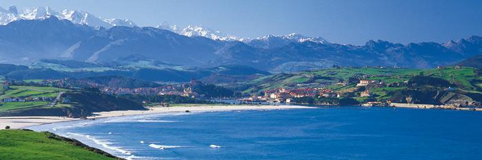 María P. Ruiz🍉 banner