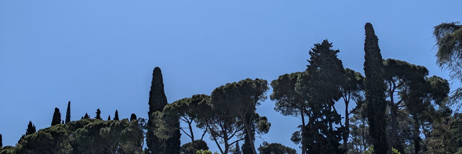 MsRach 💜🩵 banner