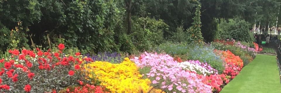 bindahdoh's profile banner image