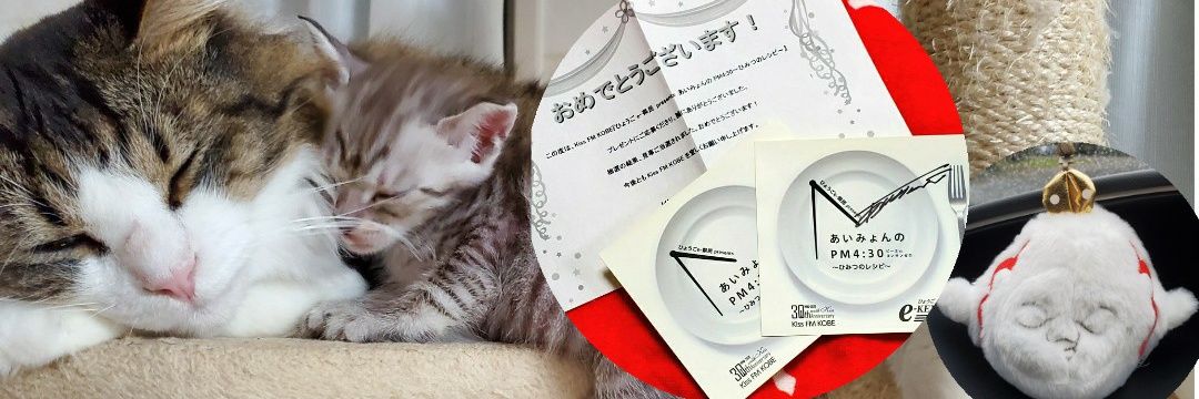 ☁︎さおりᴀɪᴍ☁︎🦭 banner