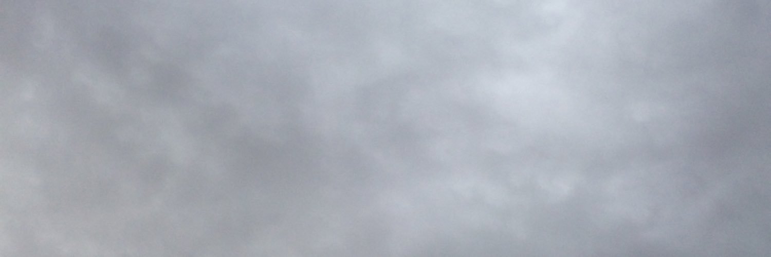 Araaraarr's profile banner image