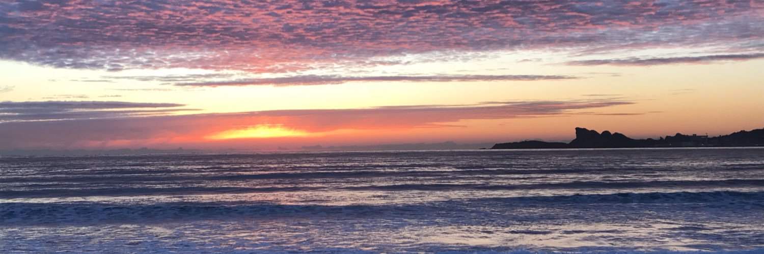 Nicolas Decitre banner