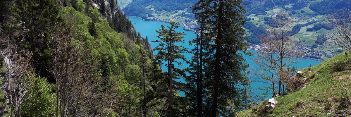 Michael Gunsch banner